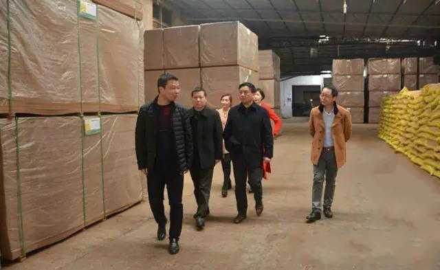 吉安市环保局副局长王勇到我公司视察指导工作