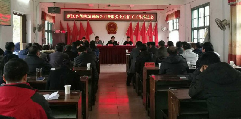 新江乡党委政府全力帮扶绿洲源
